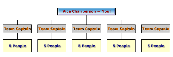Vice Chair Diagram