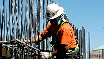 Southeastern Carpenters Training Trust